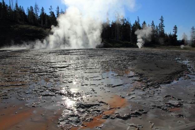 Chromatic Spring. Photo by Fred Pflughoft.