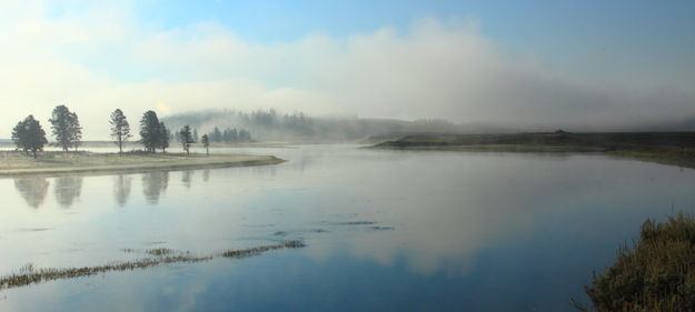 Reflections at Dawn - Hayden Valley. Photo by Fred Pflughoft.