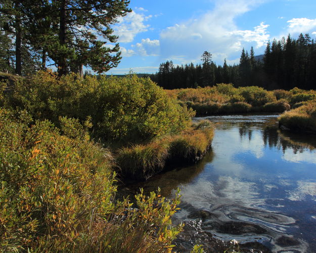 Fall Beginning along Aster Creek. Photo by Fred Pflughoft.