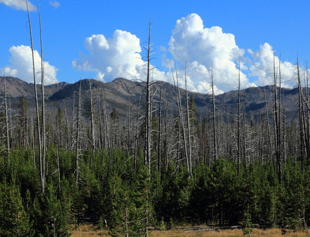 Storm Clouds over Big Game Ridge. Photo by Fred Pflughoft.