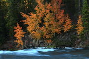 Fall at LeHardy Rapids. Photo by Fred Pflughoft.