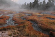 Autumn Color near Middle Geyser Basin. Photo by Fred Pflughoft.