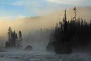 Fog on the Firehole. Photo by Fred Pflughoft.