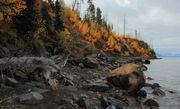 Changing Colors on Holmes Point. Photo by Fred Pflughoft.