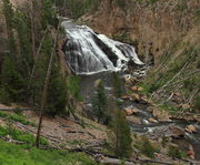 Gibbon Falls. Photo by Fred Pflughoft.