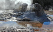 Grotto Geyser. Photo by Fred Pflughoft.