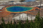 Grand Prismatic. Photo by Fred Pflughoft.