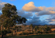 Near Crystal Creek. Photo by Fred Pflughoft.