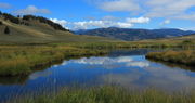 Blacktail Pond. Photo by Fred Pflughoft.