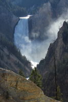 Lower Falls of the Yellowstone. Photo by Fred Pflughoft.