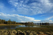 Lakeside at Pelican Creek Marsh. Photo by Fred Pflughoft.
