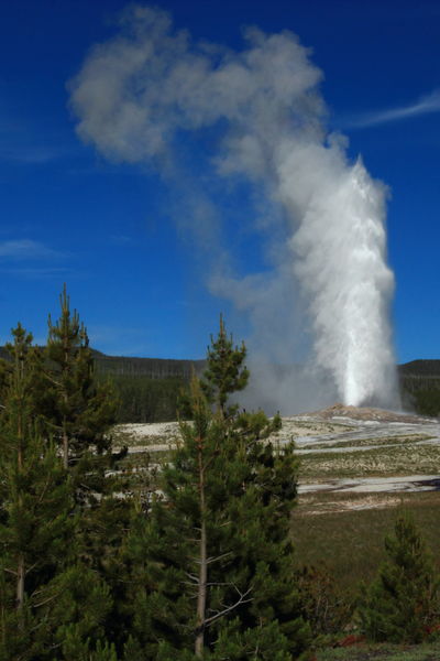 Old Faithful One More Time. Photo by Fred Pflughoft.