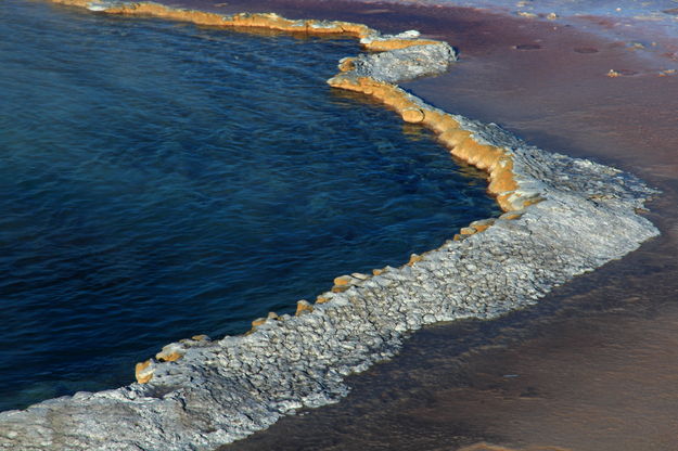 Crested Pool Detail. Photo by Fred Pflughoft.