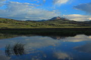 Reflections at Swan Flat. Photo by Fred Pflughoft.