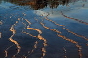 Terrace Reflections at Midway Geyser Basin. Photo by Fred Pflughoft.