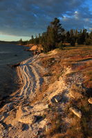 West Thumb Shoreline at Sunrise. Photo by Fred Pflughoft.