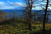 Lake Butte Burn. Photo by Fred Pflughoft.