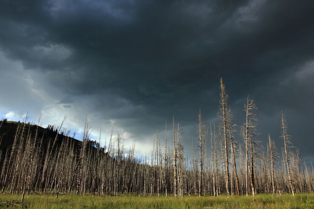 Storm Over the Burn. Photo by Fred Pflughoft.