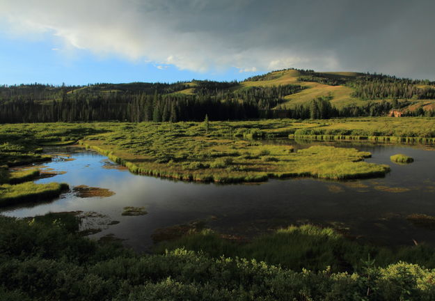 The Beaver Ponds. Photo by Fred Pflughoft.