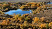 October CCC Pond Out-Takes