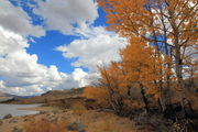 Boulder Lake Fall