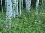 MONUMENT RIDGE - JULY 24th, 2011