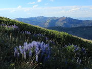 LOOKOUT MTN. - AUGUST 8th, 2011