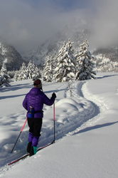 Teton Backcountry Ski