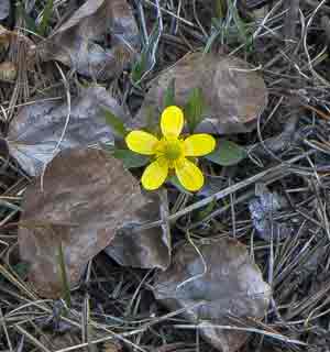 Photo Gallery