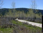 Road in the campground