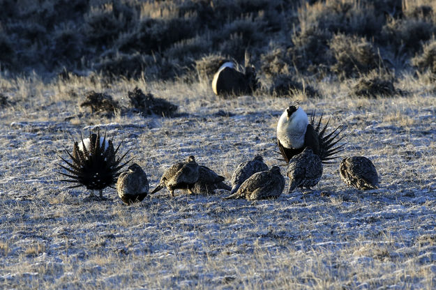 Competition. Photo by Pete Arnold.