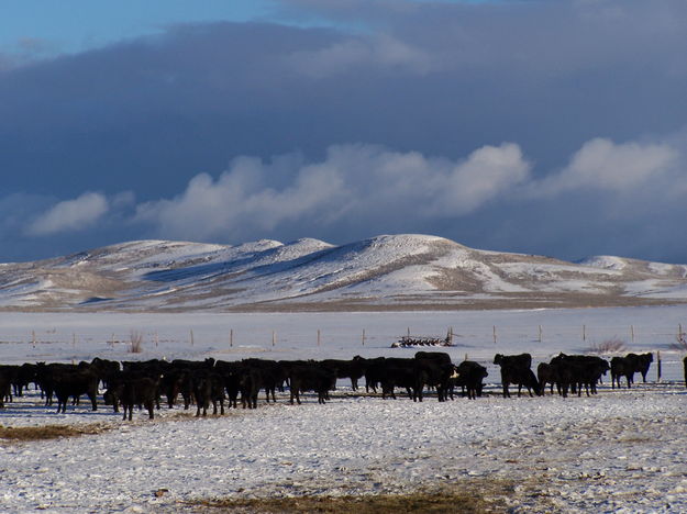 One of many scenic ranches on the route.. Photo by Scott Almdale.
