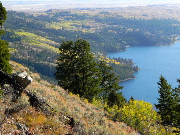 Douglas-Firs, aspens, and Fremont Lake. Photo by Scott Almdale.