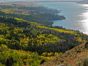 Autumn aspens and Fremont Lake. Photo by Scott Almdale.