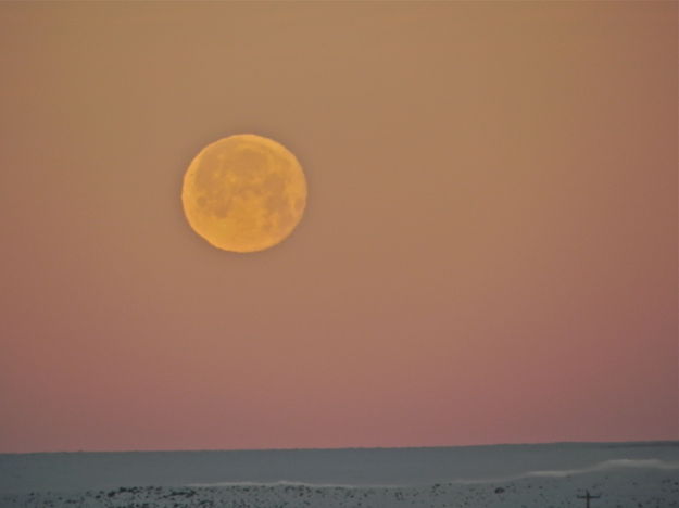 Early Morning Moon Set Seen from the Bridger Ranch Porch. Photo by Scott Almdale.