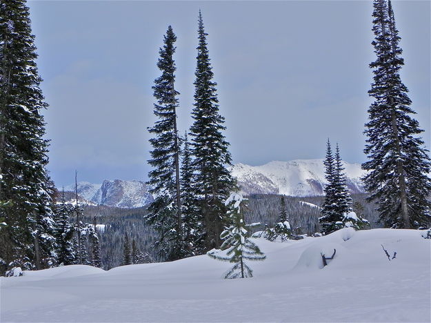 Alpine scenery from the trail. Photo by Scott Almdale.