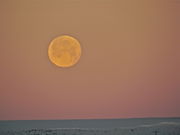 Early Morning Moon Set Seen from the Bridger Ranch Porch. Photo by Scott Almdale.