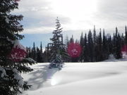 Scenery along the trail. Photo by Scott Almdale.