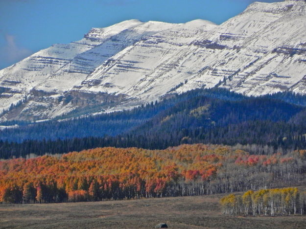 Snow-capped Sawtooths and orange aspens. Photo by Scott Almdale.