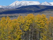 Battleship Mountain and yellow aspens. Photo by Scott Almdale.