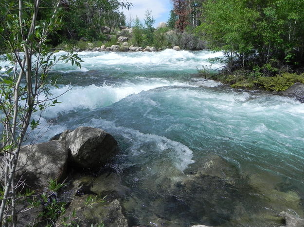 Crystal-clear Flooding Pine Creek. Photo by Scott Almdale.