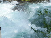 Roiling, boiling Pine Creek. Photo by Scott Almdale.