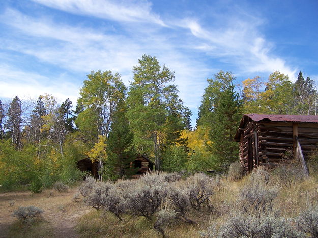 log cabin cluster. Photo by Scott Almdale.