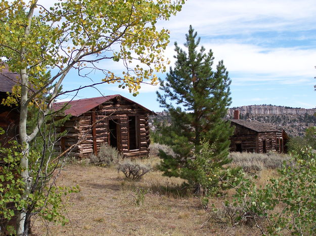 more log cabins. Photo by Scott Almdale.