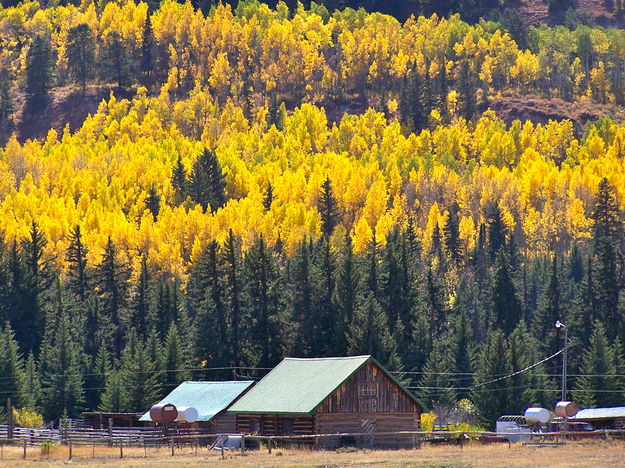 A Merna historic ranch & aspens in full fall glory. Photo by Scott Almdale.