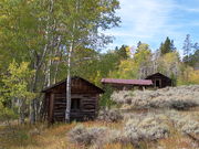 aspens and log cabin. Photo by Scott Almdale.