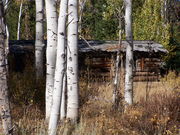 Abandoned log cabin in the Merna vicinity. Photo by Scott Almdale.