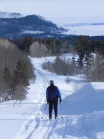 A nordic skier coasting down the trail. Photo by Scott Almdale.
