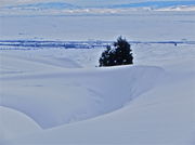 Snow-scupltured drifts with sunlight and shadows dancing in the valley beyond. Photo by Scott Almdale.