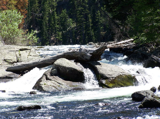 Long Lake outlet. Photo by Scott Almdale.